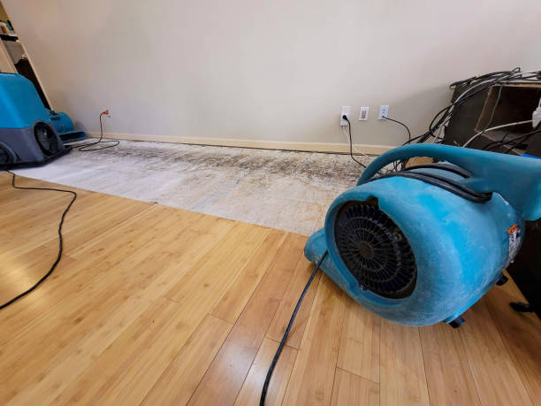 Reliable Basement Flood Cleanup contractor in Spring Hill, KS by Hirex Water Damage
