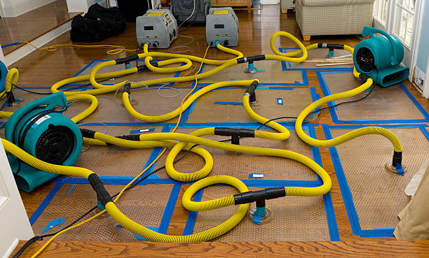 Professional Basement Flood Cleanup technician working in Spring Hill, KS